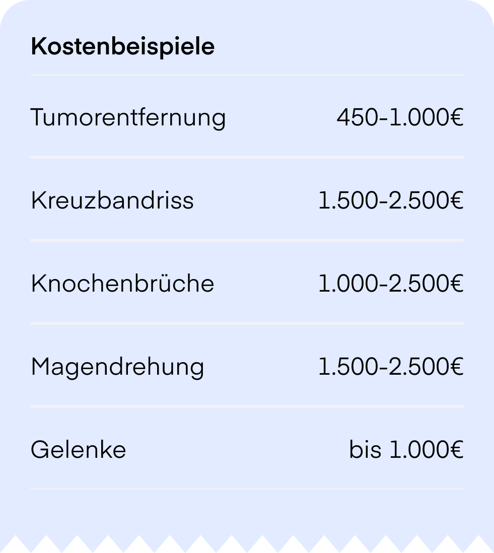 Dog cost examples OP German
